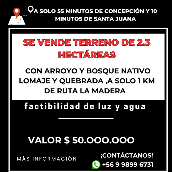 Terreno 2.3 Hectarea Con Estero Y Árboles Nativos 