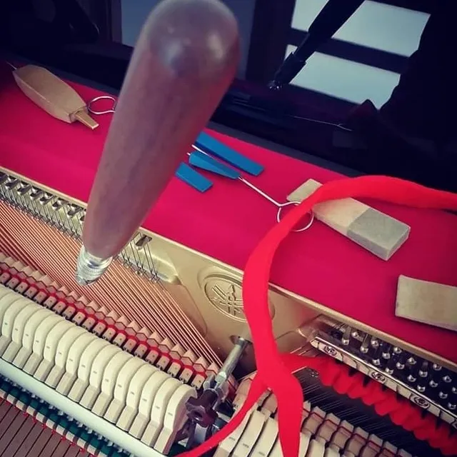 Pianos Afinacion Reparacion, Taller De Verdaderos Expertos  