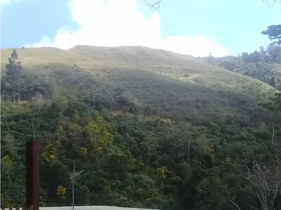Terreno Catorce Hectáreas En El Cambural San Antonio De Los Altos