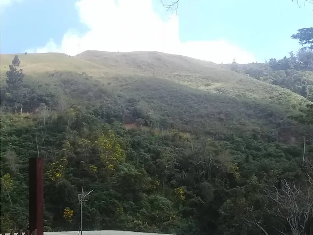 Terreno Catorce Hectáreas En El Cambural San Antonio De Los Altos