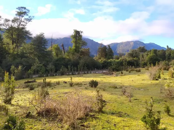 Campo Con Vertiente Y Embotelladora, Puerto Ramirez