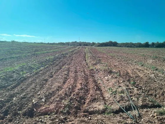 Finca En Venta Mao