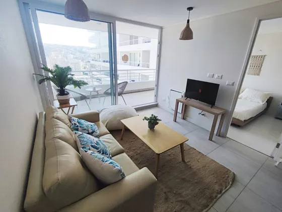 Vendo Depto. Viña Del Mar 1p 1b 48 Mts2