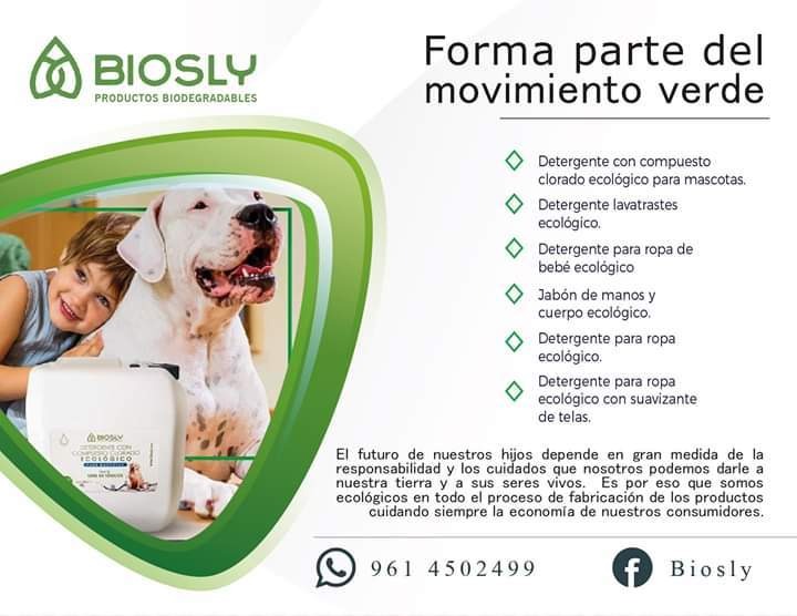 Detergente De Ropa Ecológico Biodegradable - Té De Limón | Mercado Libre