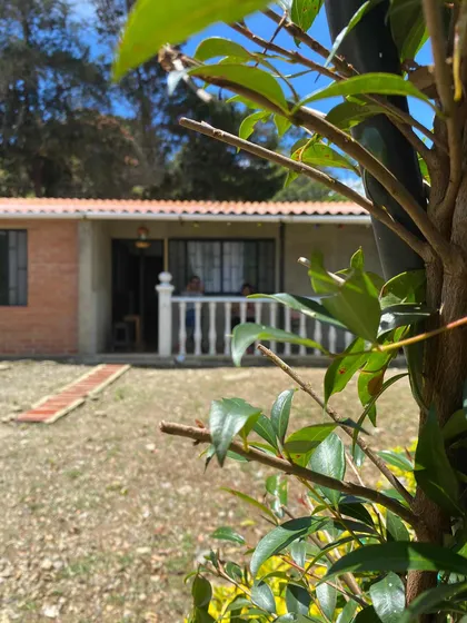 Vendo Finca En Guateque, Boyacá Chiquinca