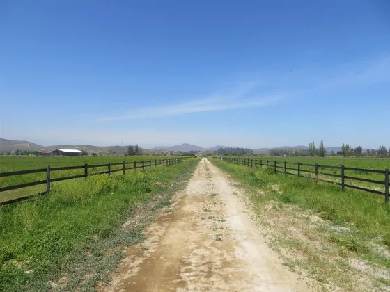 Agrícola En Venta En Melipilla