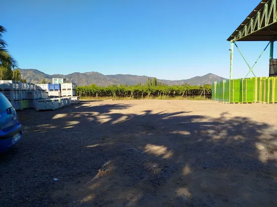 Inversionistas / Vendemos 99.000 Mtrs2 / Campo Agricola