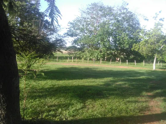 Finca En Venta En Edo. Cojedes Af