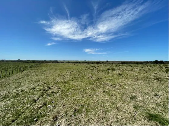 Campo 19 Hectáreas Ruta 39 San Carlos - Maldonado