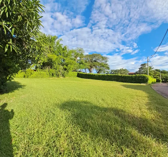 Lote En Venta. Carmen De Apicalá, Tolima. 