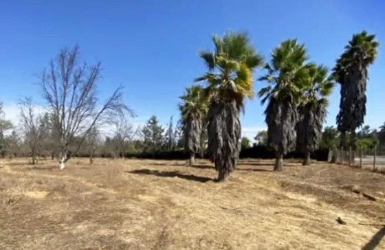 Excelente Parcela En Venta Club De Golf Las Palmas - Oliveto