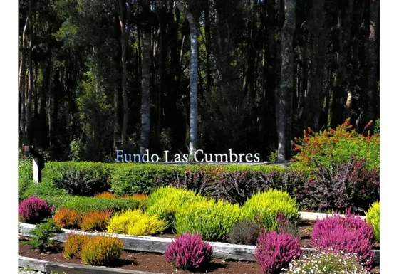 Parcela Al Interior De Fundo Las Cumbres - Austral Partners