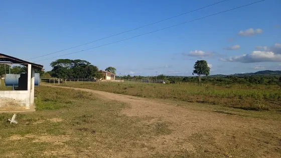 Finca En Venta De 529 Hectáreas En Falcon 