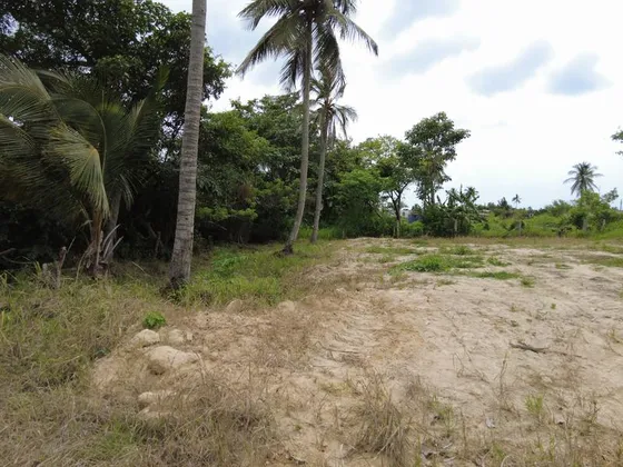 Venta Terreno 272.92 M² Col. La Calzada Tuxpan Veracruz