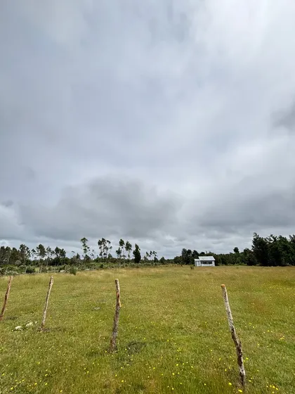 Hermosa Parcela En Maullín (154633)