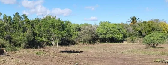 Terreno En Venta - 628mts2 - Colonia, Uruguay