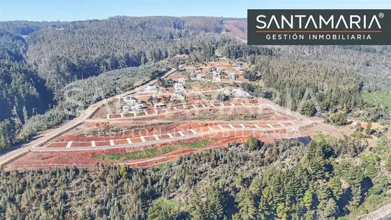 Sitio En Venta En Tomé