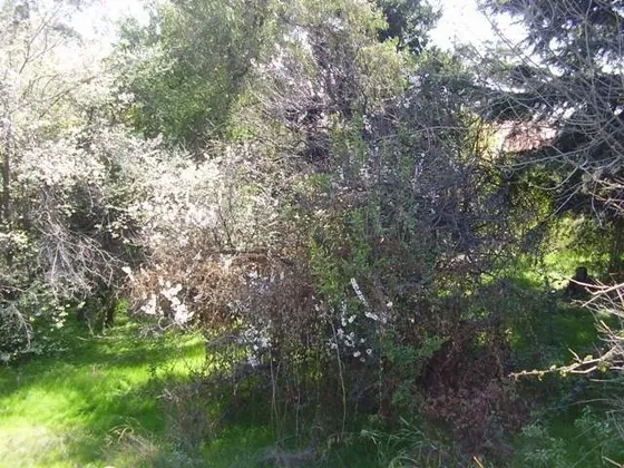 Estupendo Terreno