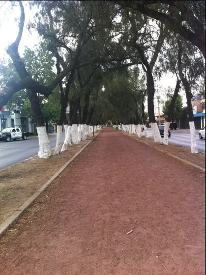 Se Vende Terreno En Jinetes, Las Arboledas Ht461