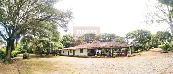 Ginebra, 4.000 M2
