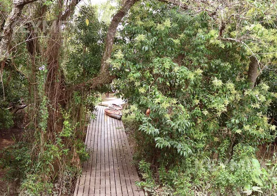 Venta Lote En Primera Sección Del Delta Del Paraná, Dos Rios. Lote 34