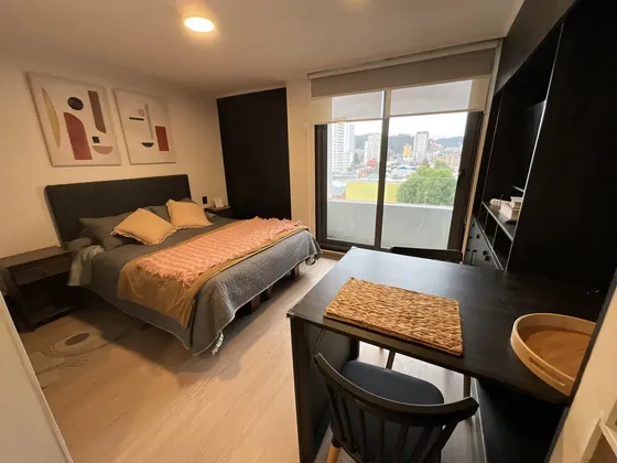 Arriendo Depto. Studio Amoblado 1d/1e/,centro De Concepción