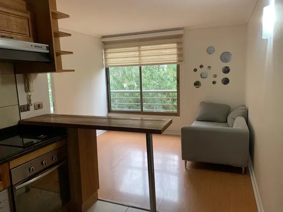  1 Dormitorio, Kitchenette, 1 Estacionamiento, 1 Bodega