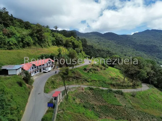 Terreno En Venta En La Colonia Tovar Aragua 25-5499 Irrr