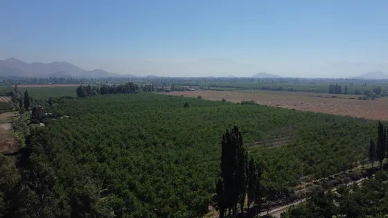 Venta De Campo En Calera De Tango Id. 53.452-cam