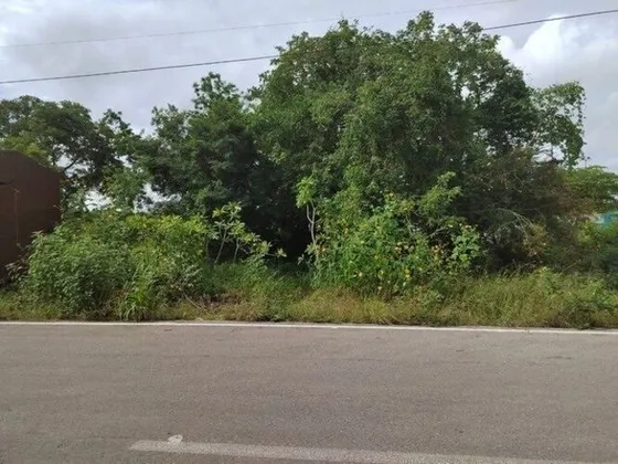 Terreno En Renta O Venta En Conkal