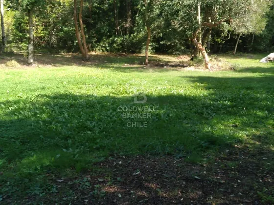 Sitio A Pasos De Lago Calafquén Con Playa