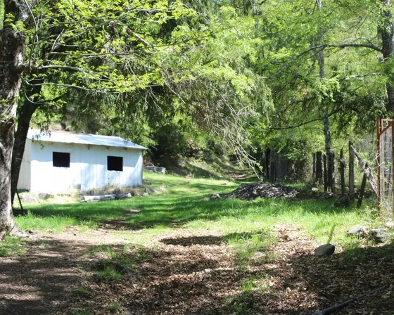 Lindo Campo En Pucon, Sector Loncofilo