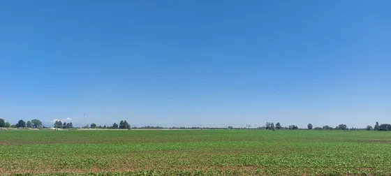 Venta De Campo En Parral Id 53.980-cam
