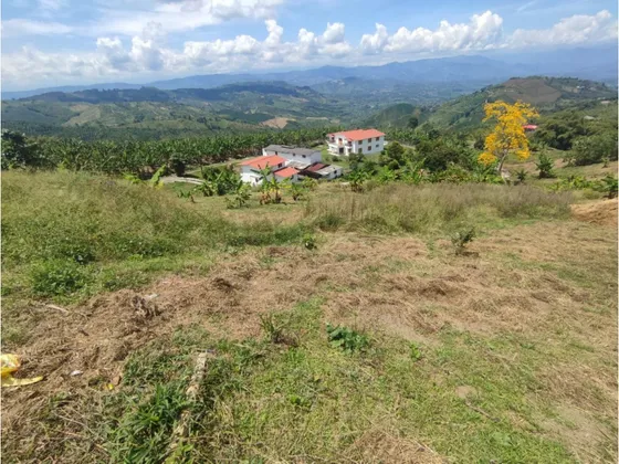 Venta Lote En Palestina, Caldas | Lotes En Venta