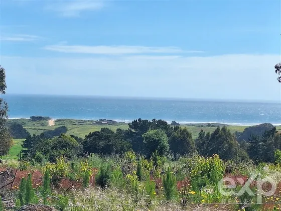 Parcela 3 Has. En Venta En Pichilemu