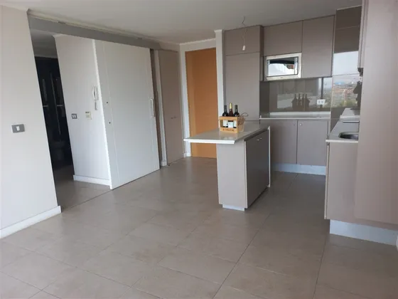 Departamento En Arriendo De 1 Dorm.terraza, Bodega. Ñuñoa