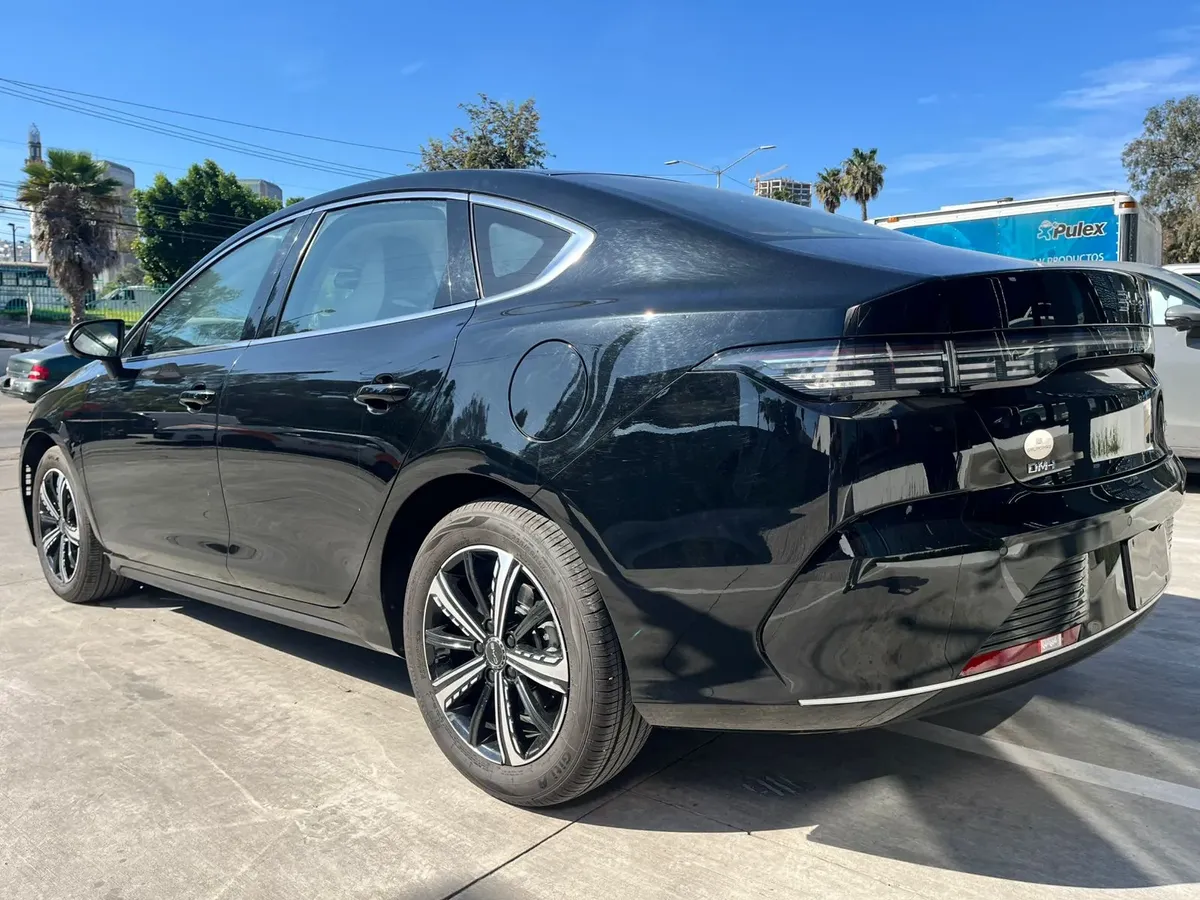 Byd King 20264172764020637798412