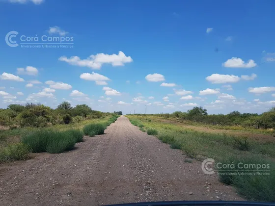 Se Vende Campo Ganadero En Mendoza, Rio Diamante. San Rafael.