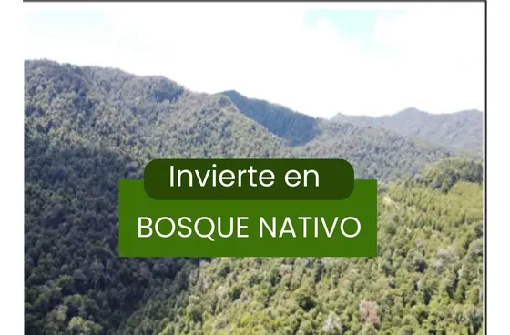 112 Ha. Con Bosque Nativo Y Río En Cunco Proyecto Turístico