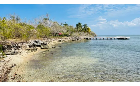 Venta Lote Baru Cartagena De Indias