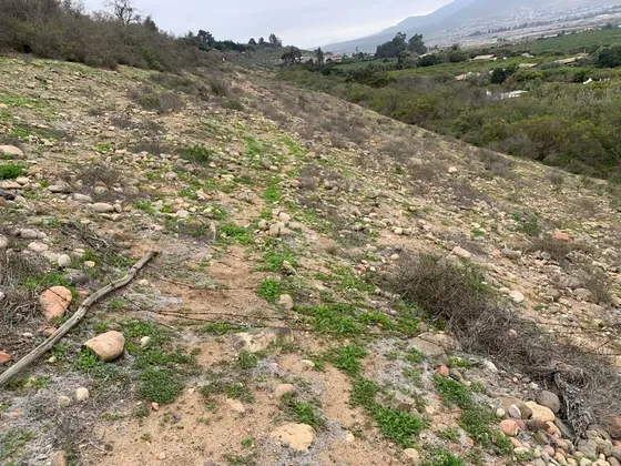 Terreno En La Serena