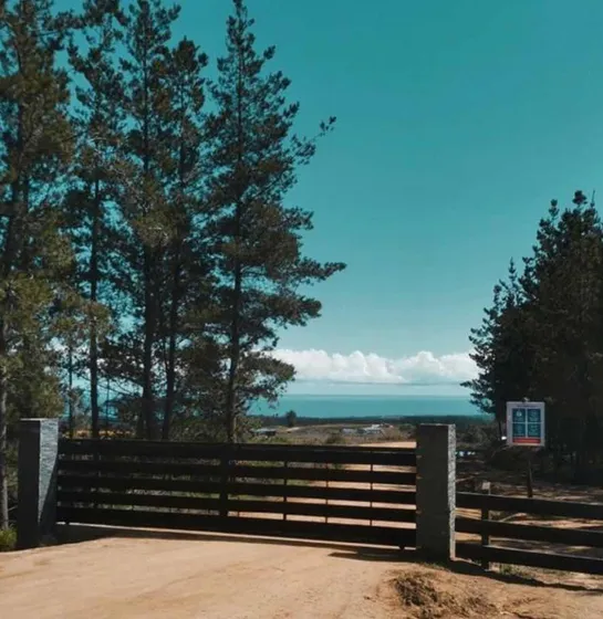 Terreno De 5000mt2 A 20 Min Del Centro De Pichilemu