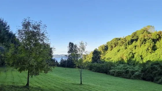 Parcela En Venta En Frutillar
