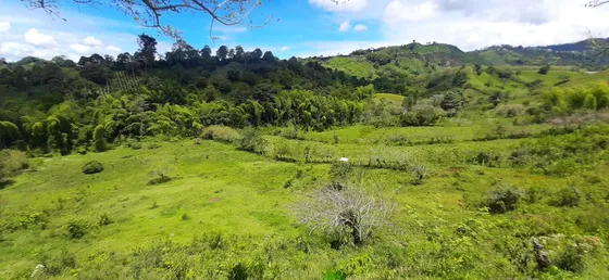 Se Vende Finca Ganadera Entre Barragan - Río Verde.
