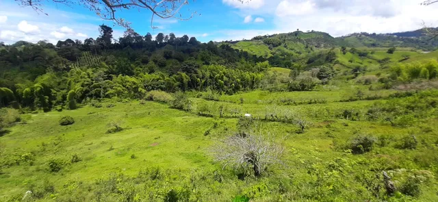 Se Vende Finca Ganadera Entre Barragan - Río Verde.