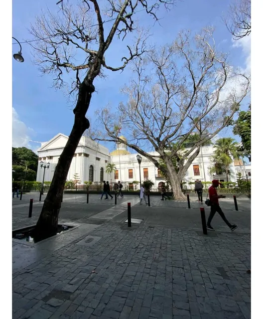 Local En Venta A Pie De Calle En Capitolio
