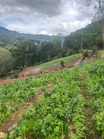 Finca De 13 Hectáreas En Cordero / Gm