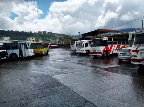 Venta Extenso Terreno Con 4.320mts2., En Los Samanes Cerca Del Colegio Americano. Para Cualquier Proyecto.  Ma. Fda. Varela
