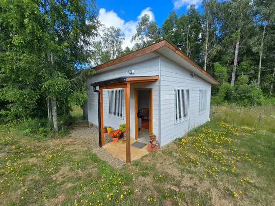 Cabaña En Venta En Parcela De 5.000 M2 Sector Chancoyán Alto