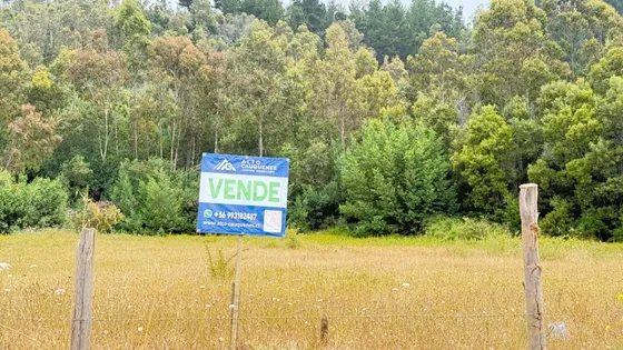 Vende Lote De 10.000 M² En Playa De Pelluhue
